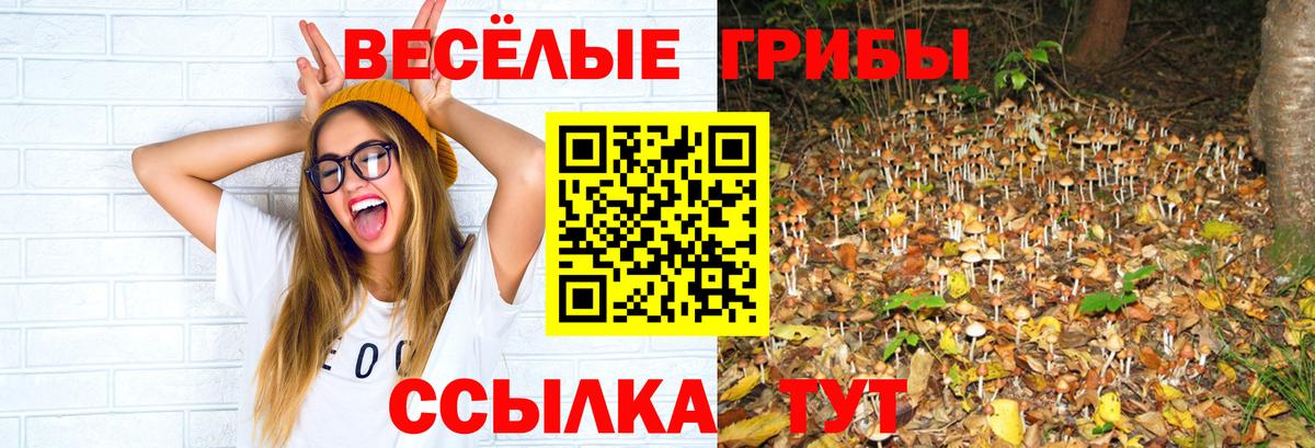 Псилоцибиновые грибы ЛСД  Галлюциногенные грибы прущие грибы  Вход с VPN  Заречный 